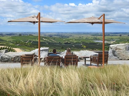 Vista del paisaje de Maldonado, desde el deck de la Bodega Garzón, hoy en el puesto N°10 del ranking World's Best Vineyards 2022