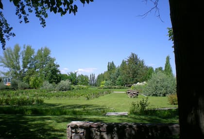 Vista del Parque de Finca La Anita desde donde degustábamos