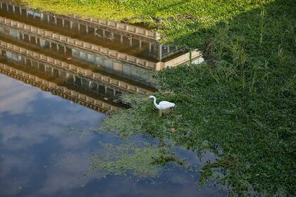 Vista del uno de los pabellones de la FADU reflejado en el agua