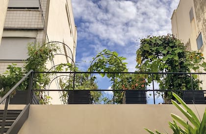 Vista desde abajo de las 4 camas de huerta, elaboradas en hierro pintado de negro y unidas por pérgolas de malla slima, para que trepen las hortalizas y flores.