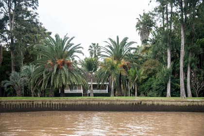 Vista desde el río San Antonio a la casa y el parque. Se observan palmeras Phoenix canariensis y a la izquierda Butia yatay y Butia capitata. En el centro, Ravenea rivularis y, por detrás, Washingtonia robusta.