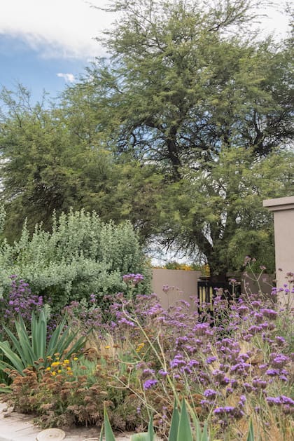 Vista desde la pileta, con canteros aromáticos.
