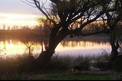 Vista desde la ventana del hogar de Valeria, en Viedma, Río Negro, Argentina.