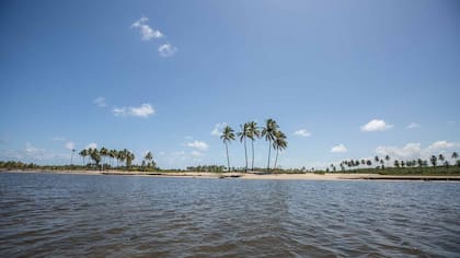 Vista durante el paseo en Jangadas en Porto de Galinhas