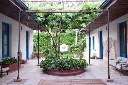 Vista general del patio que une ambas casas, con la pérgola por donde trepa una parra y el cantero central con Syngonium podophyllum.