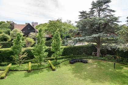 Vista general desde el living y el comedor; en el jardín principal se generó un gran cantero curvo con flejes de hierro negro, que abraza tres Pyrus calleryana separados por líneas de buxus que simulan teclas de piano, y un añoso cedro azul existente.