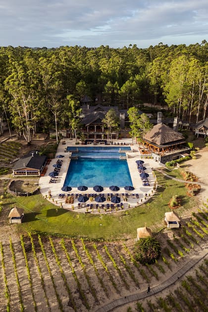 Vista panorámica de Carmelo Resort & Spa, la locación elegida por Tati y Mechi para su boda.