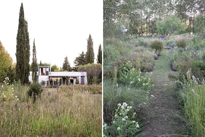 Vista principal de la casa rodeada de pastizales, donde se dejaron los cipreses piramidales originales de una vieja plantación para dar estructura (izquierda). La preparación de todo el espacio para la creación del pastizal consistió en el arado de la superficie con un tractor y posterior nivelación, sin incorporar tierra ni sustratos especiales para preservar las condiciones naturales del campo.