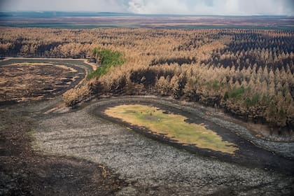 Vistas aéreas del Parque Nacional Esteros del Iberá, en Corrientes, donde se observan los daños causados por el fuego y por muchos meses de sequía