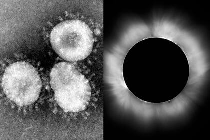 Visto con un microscopio electrónico, la apariencia del patógeno de coronavirus remeda a una corona solar