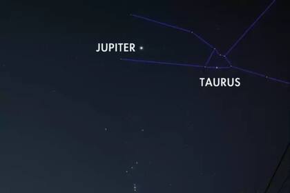 Aquellos fanáticos de la astronomía podrán visualizar a Júpiter entre los cuernos de la constelación de Tauro solo por las noches
