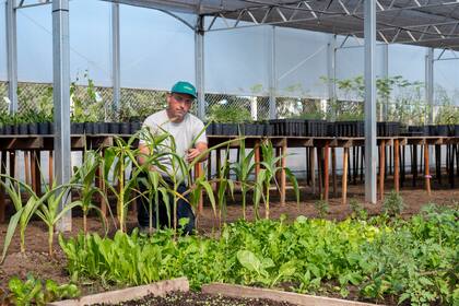 Vivero Unipar en Bahía Blanca.