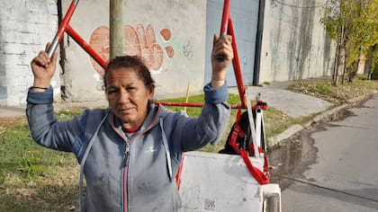 Viviana Figueroa tiene 55 años y es del barrio El Detalle, en Tigre: "Salí a la mañana y volví a las 4 con el carro lleno. En el galpón me dieron $ 3800 por todo lo que había juntado"