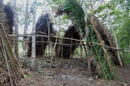 Viviendas temporales hechas con palmas de babasú