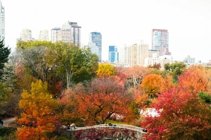 Vivir en Nueva York es el sueño de muchos migrantes, con una población que ronda los tres millones