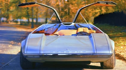 Volkswagen y Porsche Tapiro Concept