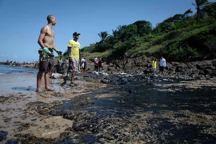 Voluntarios colaboran con la limpieza de las playas en Cabo de Santo Agostino.