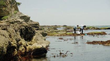 Voluntarios de Taráchine recogen muestras del mar alrededor de la planta de Fukushima