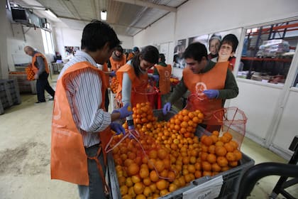 Voluntarios del Banco de Alimentos, una ONG que también recibe ayuda y donaciones de forma on line