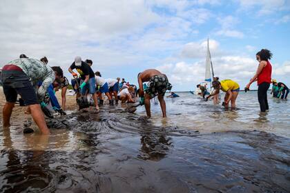 Todavía se desconocen las causas, pero las autoridades afirmaron que el petróleo tiene origen venezolano