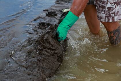 Voluntarios colaboran en la limpieza de las playas