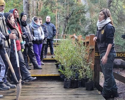 Voluntarios plantaron 800 nuevos ejemplares de arrayanes el sábado pasado