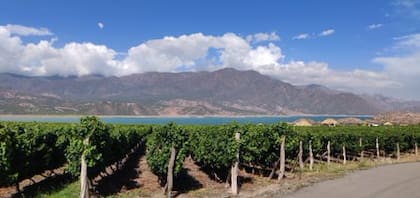 Volvamos a los orígenes de nuestra bebida nacional.