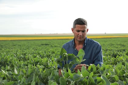 Voraxor® es un nuevo herbicida presiembra que actúa de forma rápida y con una eficacia contundente en cultivos de soja, maní, trigo y cebada.