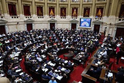 Votación de artículos en particular de la Ley Ómnibus en la cámara de Diputados