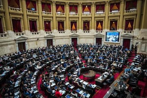 ¿Qué objetivo tiene la ley “Hojarasca” aprobada en Diputados?