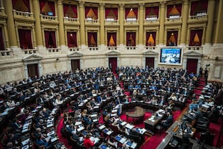 ¿Qué objetivo tiene la ley “Hojarasca” aprobada en Diputados?