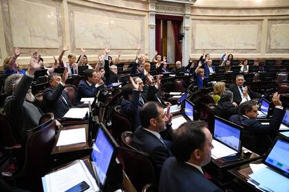 Votación en el Senado por la ley de solidaridad