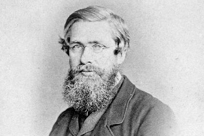 Wallace jugó un papel fundamental en la formulación de la teoría de la evolución. Tras intercambiar ideas, Darwin presentó los descubrimientos de ambos para que recibieran el mismo crédito