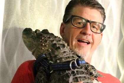 Wally es un caimán de apoyo emocional que da besos y abrazos