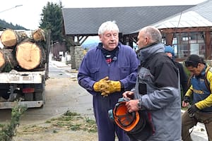 Polémica: el intendente de Bariloche se puso al hombro la poda de pinos y los cortó con una motosierra