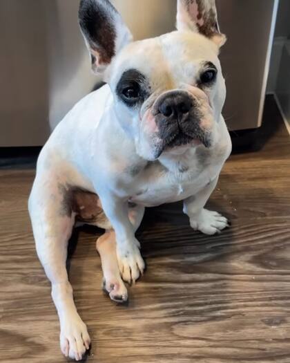 Walter Geoffrey cuenta con 1 millón y medio de seguidores en Instagram