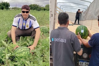 Salió el primer camión con la fruta a granel tras 42 años de una traba que eliminó Milei