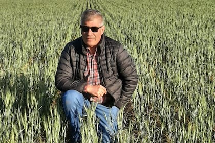 Walter Malfatto, productor de Bragado