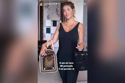 Wanda llevó a su perrita en un exclusivo bolso de diseñador (Foto: Instagram @wanda_nara)