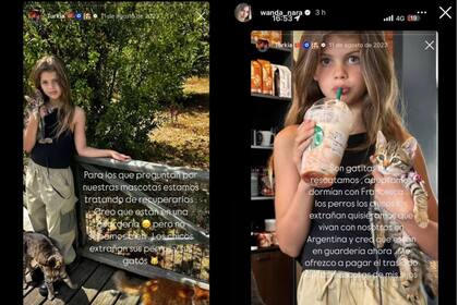 Wanda Nara le pidió públicamente a Mauro Icardi que devuelva a las mascotas de sus hijos que están en Turquía (Foto: Instagram @wanda_nara)