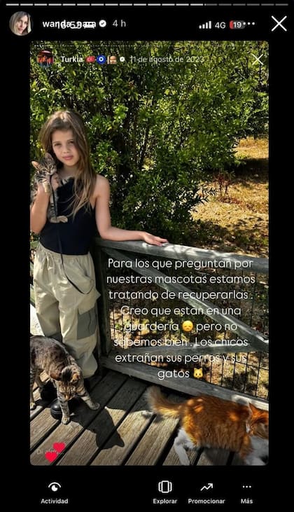 Wanda Nara pidió públicamente que le devuelvan a las mascotas de sus hijos que quedaron en Turquía (Foto: Instagram @wanda_nara)
