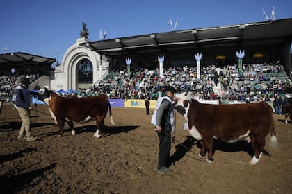 Ward destacó el gran nivel de la raza