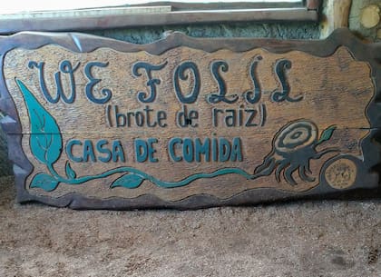 We Folil, significa "brote de raiz".