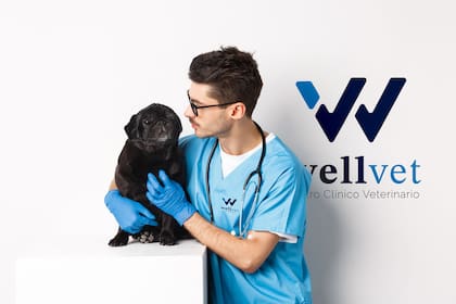 Wellvet es una clínica con atención las 24 horas y profesionales capacitados para contener a animales y dueños