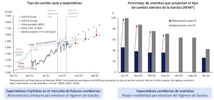 Werning ratificó la continuidad del esquema de flotación cambiaria