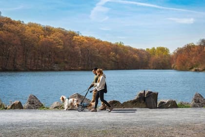Westchester, a solo 40 minutos de Nueva York, ofrece belleza natural y un entorno donde relajarse