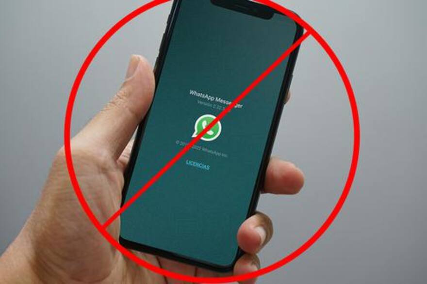 WhatsApp Plus: cómo descargar la versión 1.70 y qué hay que tener en cuenta  - LA NACION