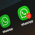 WhatsApp habilita chats de invitados para personas sin cuenta