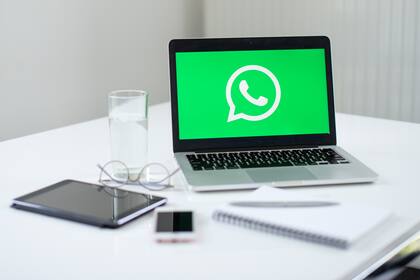 WhatsApp: las claves para buscar en tu historial