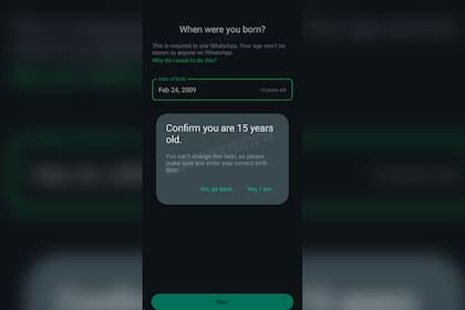 WhatsApp pedirá una nueva información a sus usuarios (Foto Wabetainfo)